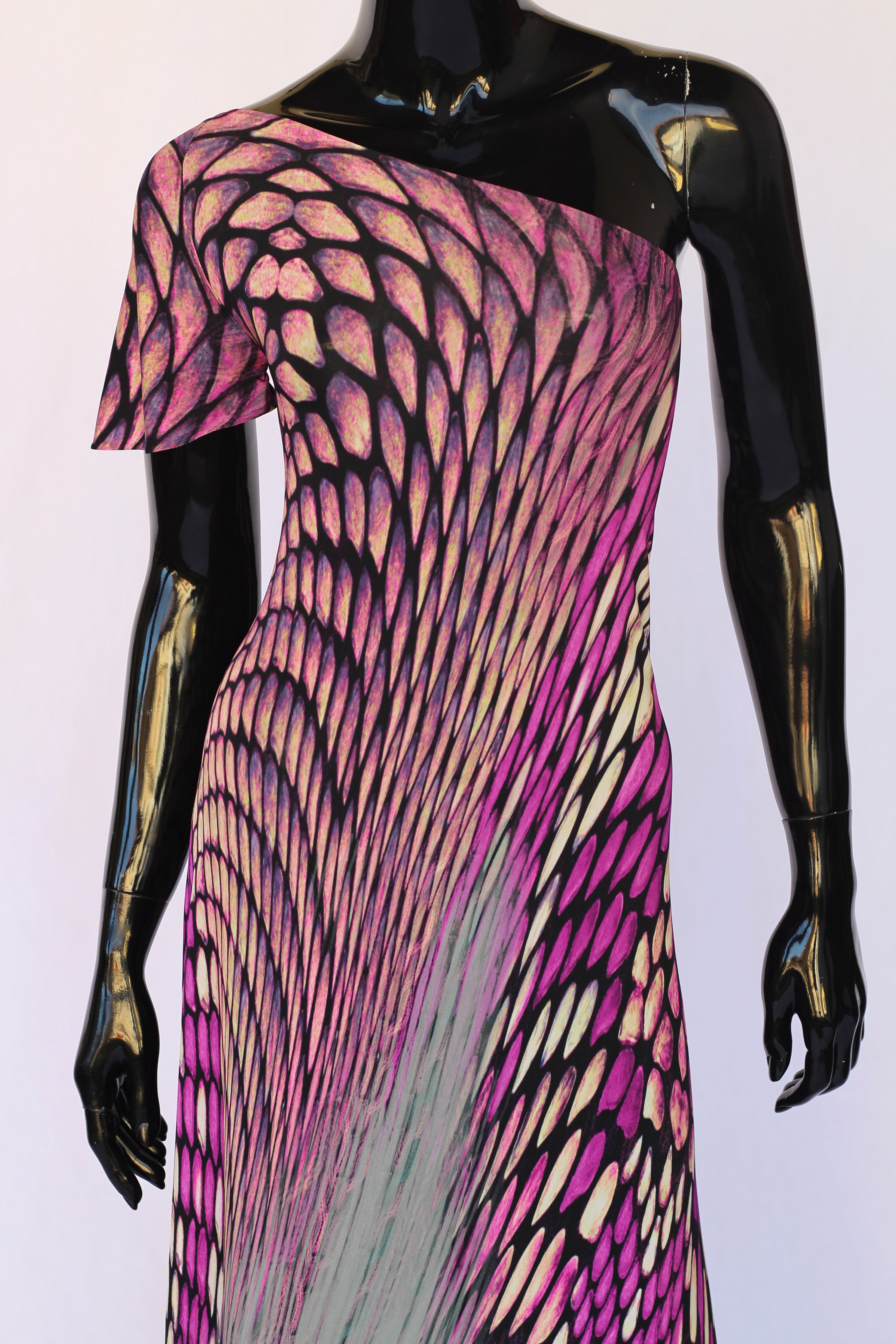 Python model
